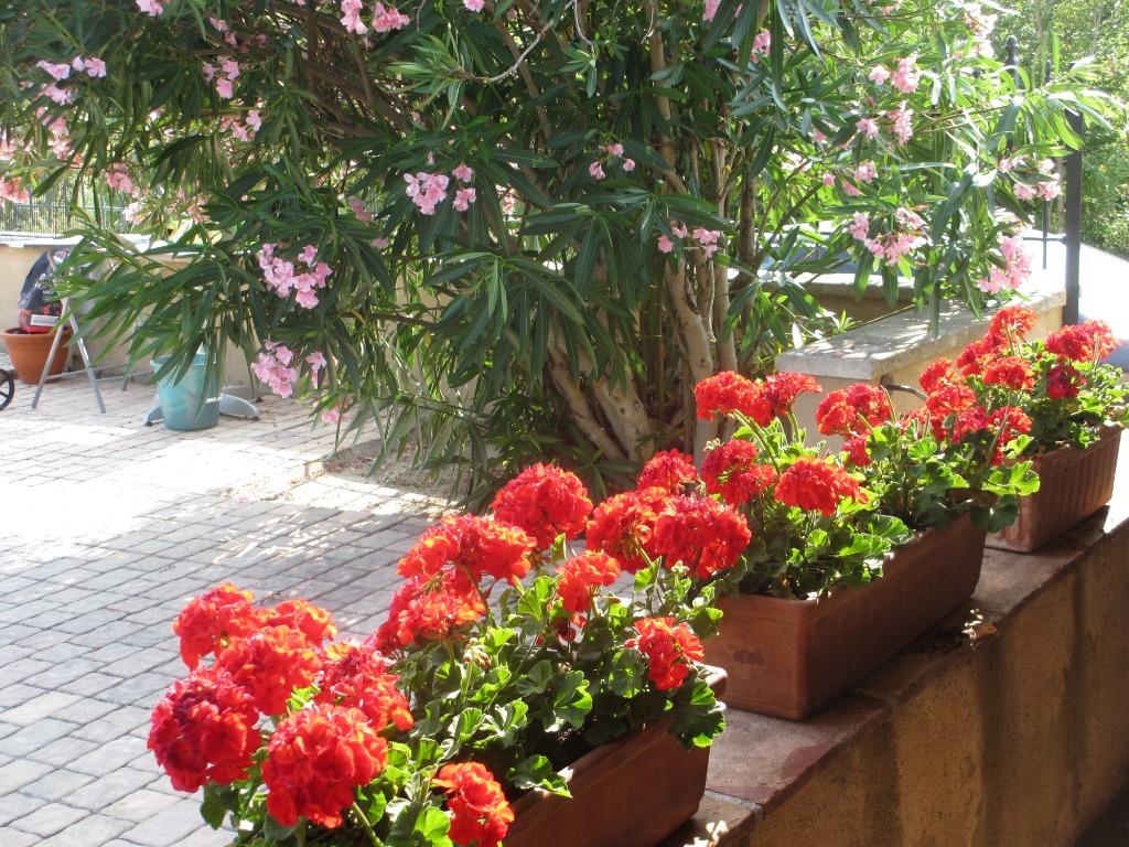 TE KOOP - Vakantiewoning Zuid-Frankrijk, Dorp, 2 slaapkamers, Wasmachine, Eigenaar