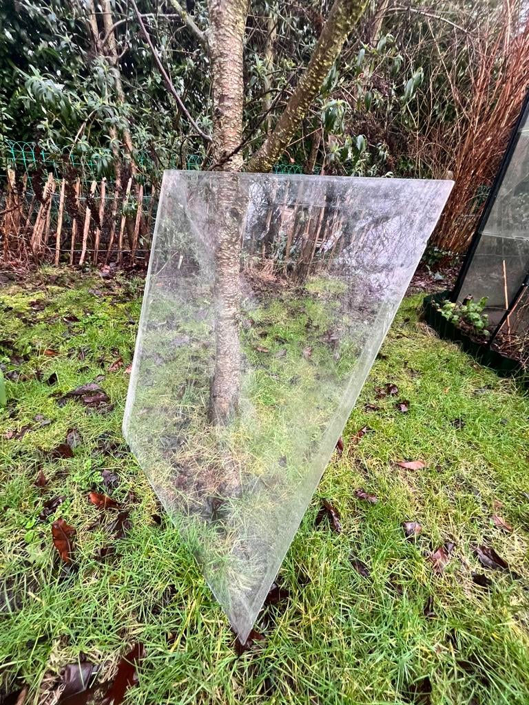 Veiligheidsglas voor tuinserre, Ophalen, Gebruikt, Minder dan 80 cm, Minder dan 80 cm