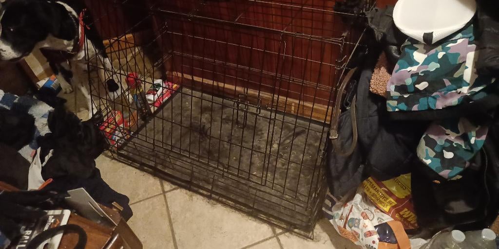 A vendre cage chien, Animaux & Accessoires, Accessoires pour chiens, Enlèvement, Utilisé