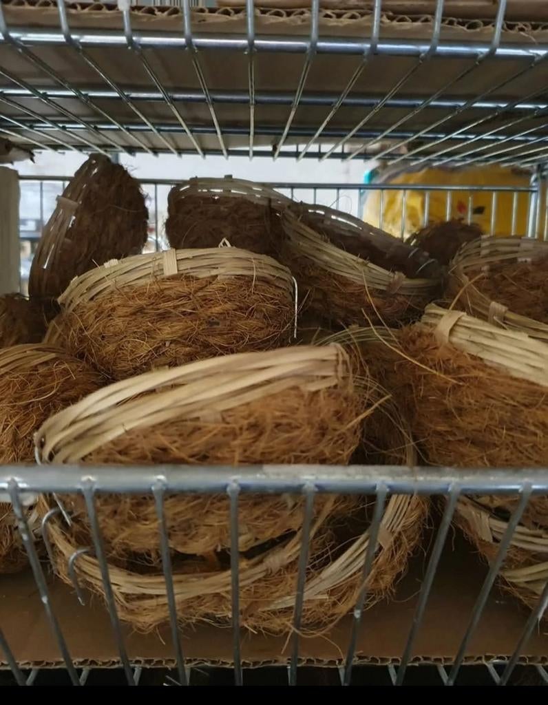 Nid en paille Cocos Ø10 cm, Animaux & Accessoires, Oiseaux | Accessoires, Enlèvement
