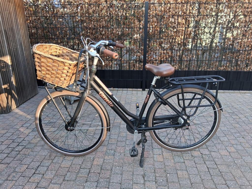 Gazelle fiets - Miss Grace (met bagagedrager), Ophalen, Gazelle