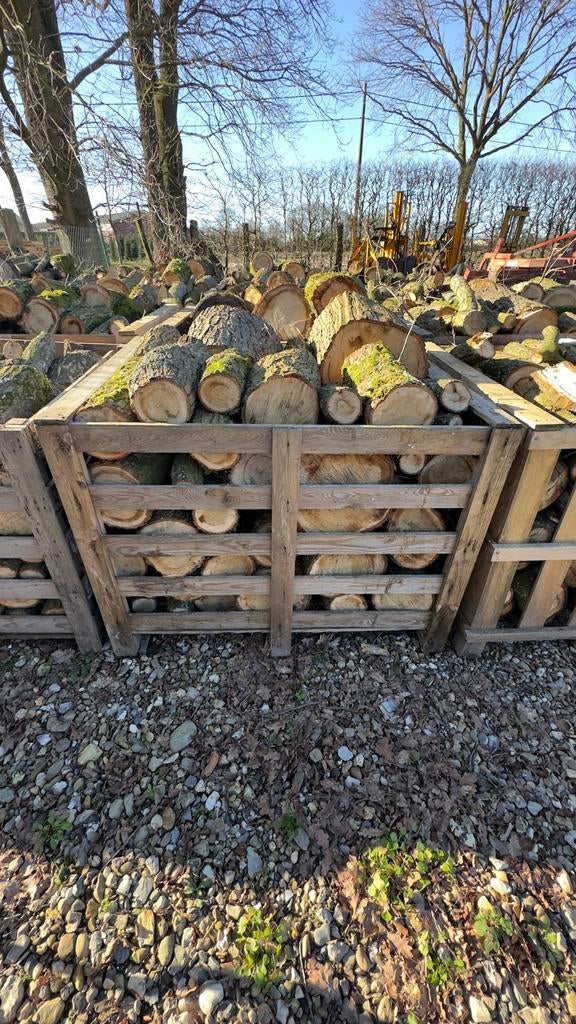 Boxen gezaagd brandhout te koop, Tuin en Terras, Brandhout, Ophalen, Eikenhout