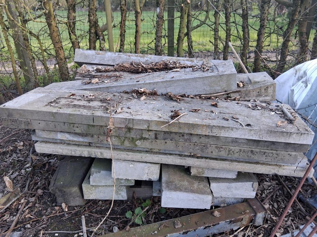 Blauwe steen te koop, Enlèvement