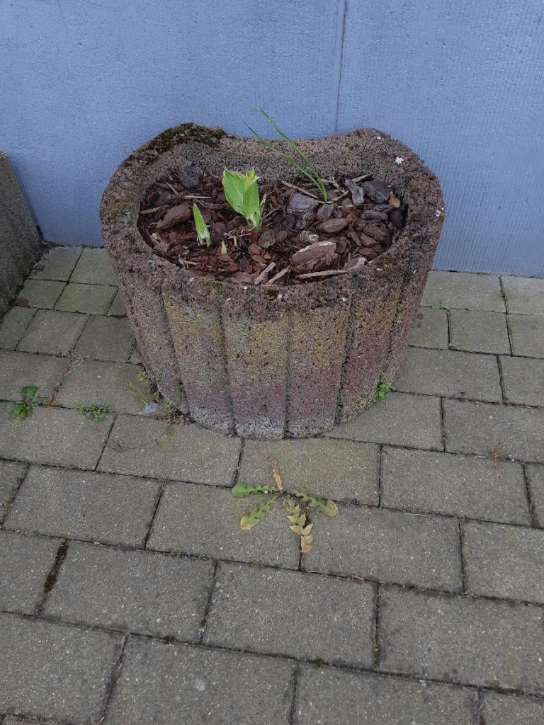 8 bacs à fleurs en forme de croissant, Enlèvement
