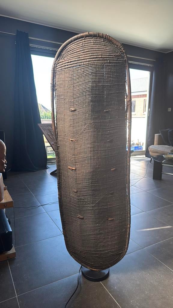 Grote collectie Belgian Congo, Ophalen