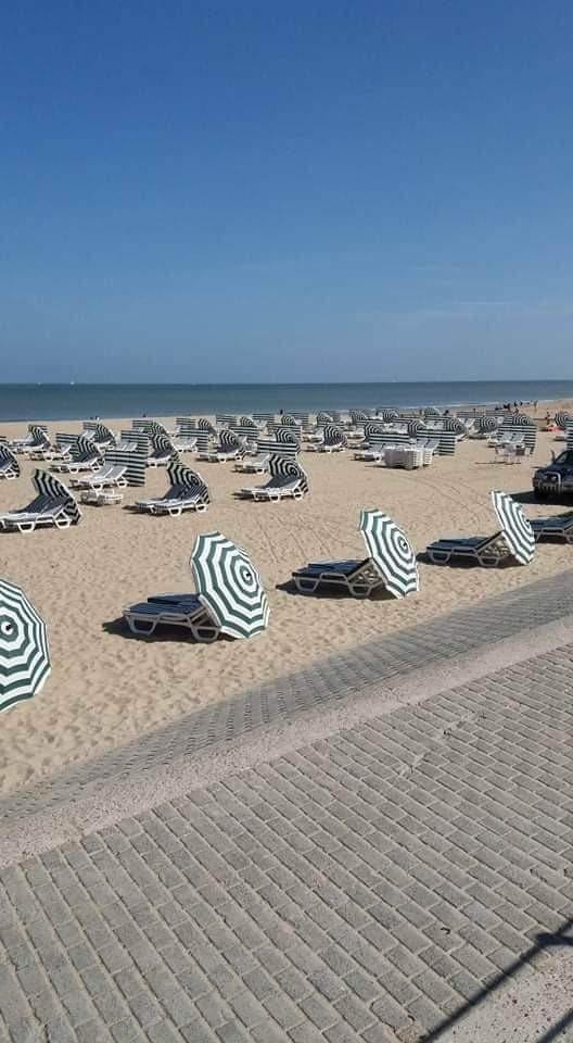 Verlof aan zee te huur op heden beschikbaar', Vakantie
