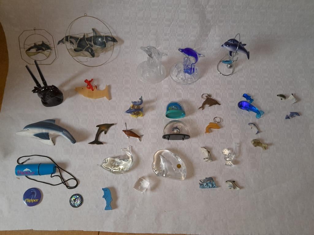 Collection de dauphin, Collections, Enlèvement