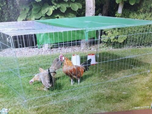 konijnenren , kippenren XL gegalvaniseerd, Ophalen, Nieuw, Kippenhok of Kippenren