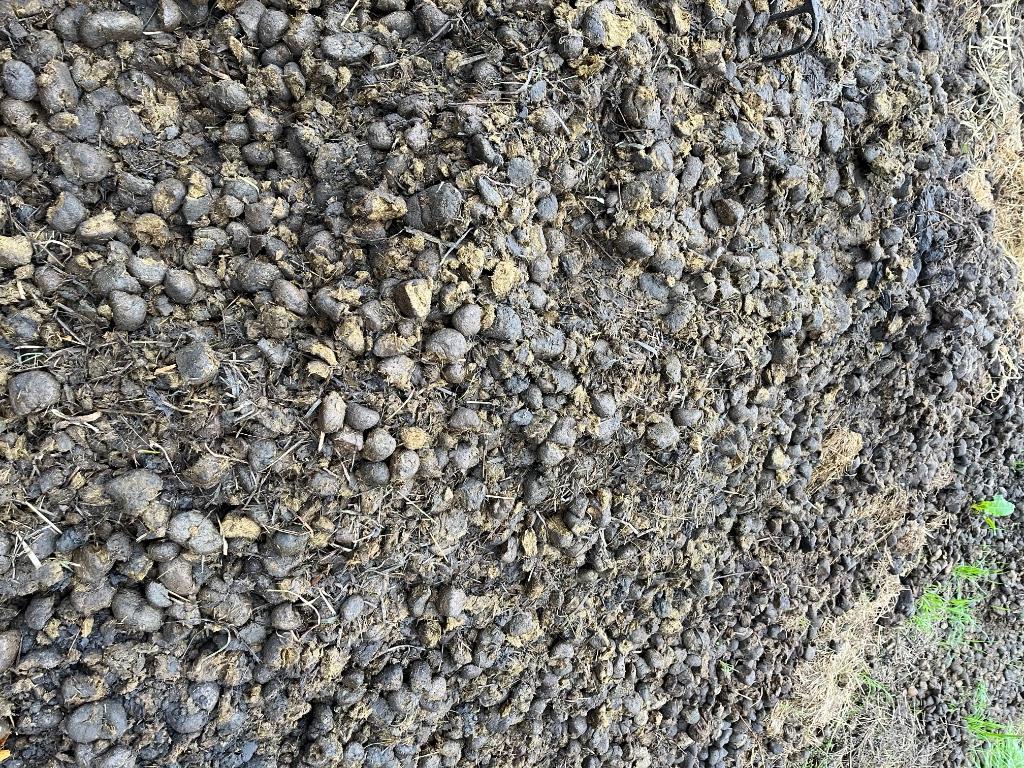 Fumier de cheval en grande quantité. GRATUIT., Jardin & Terrasse, Enlèvement ou Envoi, Fumier