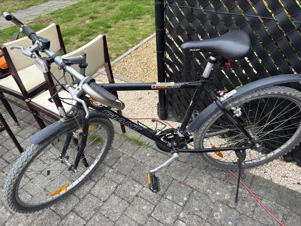 Vélo de montagne géant, Enlèvement, Utilisé, Hommes, Giant