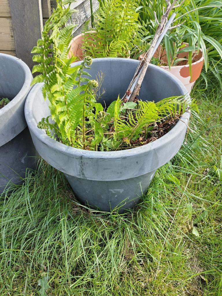 Pots pour plantes., Jardin & Terrasse, Enlèvement, Utilisé