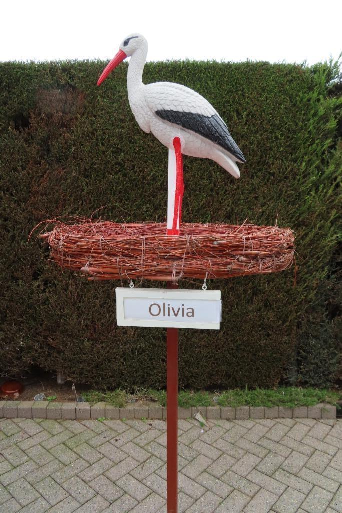 Geboorteborden te huur o.a ooievaar op echt nest van takken., Enlèvement, Neuf, Tableau de naissance