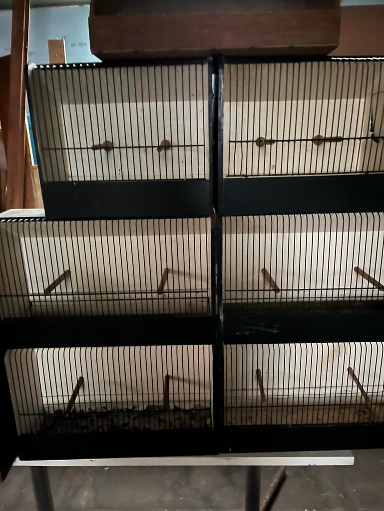 T.T..kooien, Dieren en Toebehoren, Vogels | Hokken en Kooien, Ophalen, Zo goed als nieuw, Hout