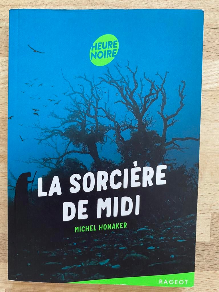 La sorcière de midi , Michel Honaker, Enlèvement, Comme neuf, Michel Honaker