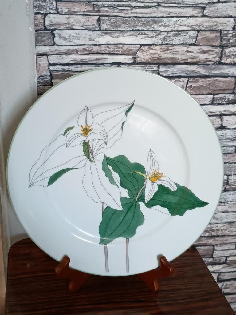 Blok Trillium Dinerbord Aquarellen Lijntekening Kunstenaar G, Ophalen of Verzenden