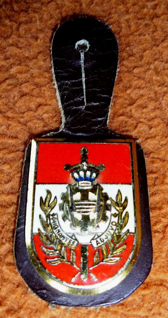Borsthanger ABL Bataljon Logistiek "pugnantes adjuvo", Verzenden, Landmacht, Lintje, Medaille of Wings