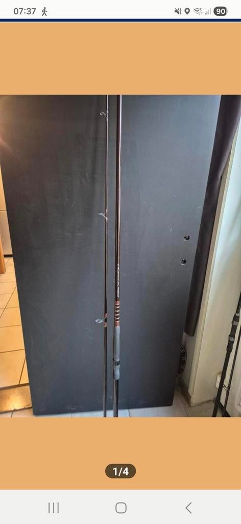 R Hutchinson carp meerval hengel, Ophalen, Zo goed als nieuw