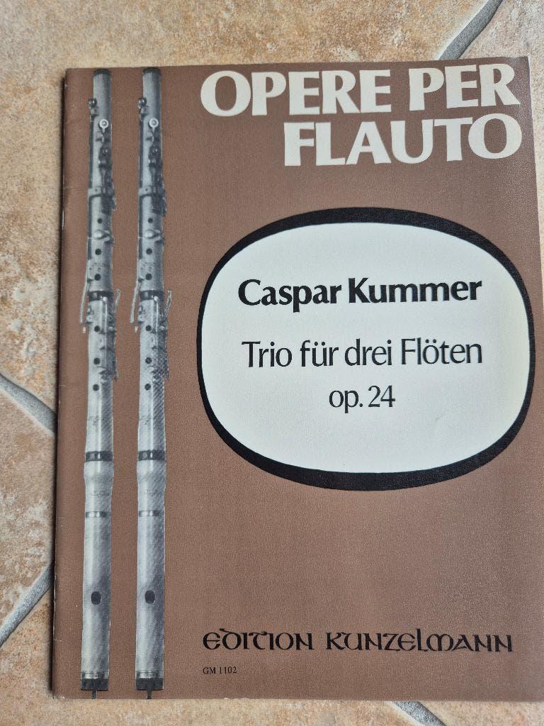 Bladmuziek 3 of meer fluiten/altblokfluiten 9 x, Dwarsfluit of Piccolo, Klassiek, Overige soorten, Ophalen of Verzenden