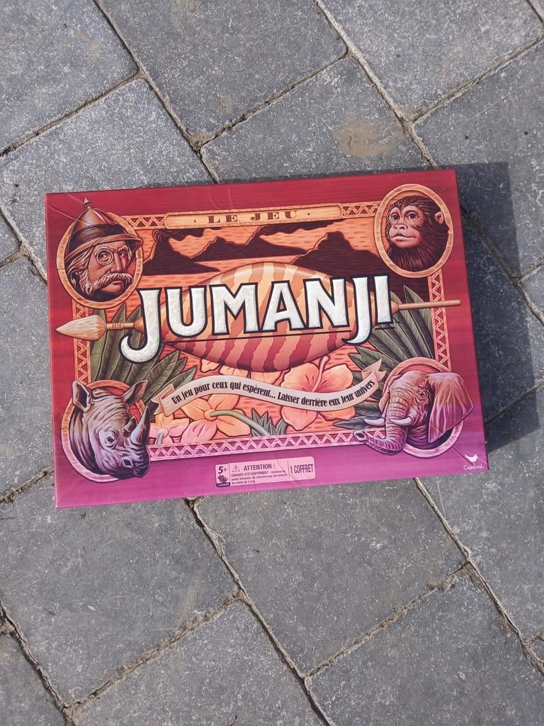 Jeux de société jumanji, Enlèvement ou Envoi