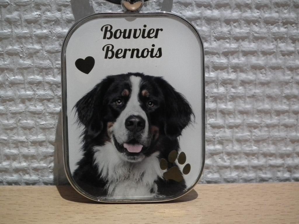 Sleutelhanger (Berner Sennenhond in medaillon), Verzenden, Nieuw, Dier of Natuur