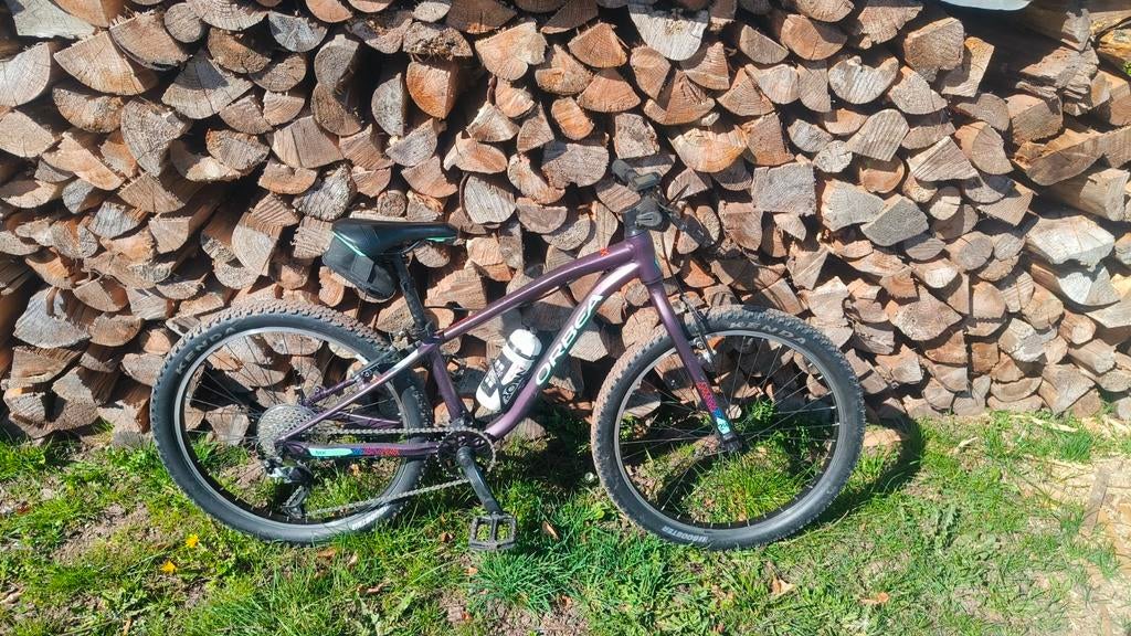 VTT enfant orbea mx team 24, Vélos & Vélomoteurs, Enlèvement