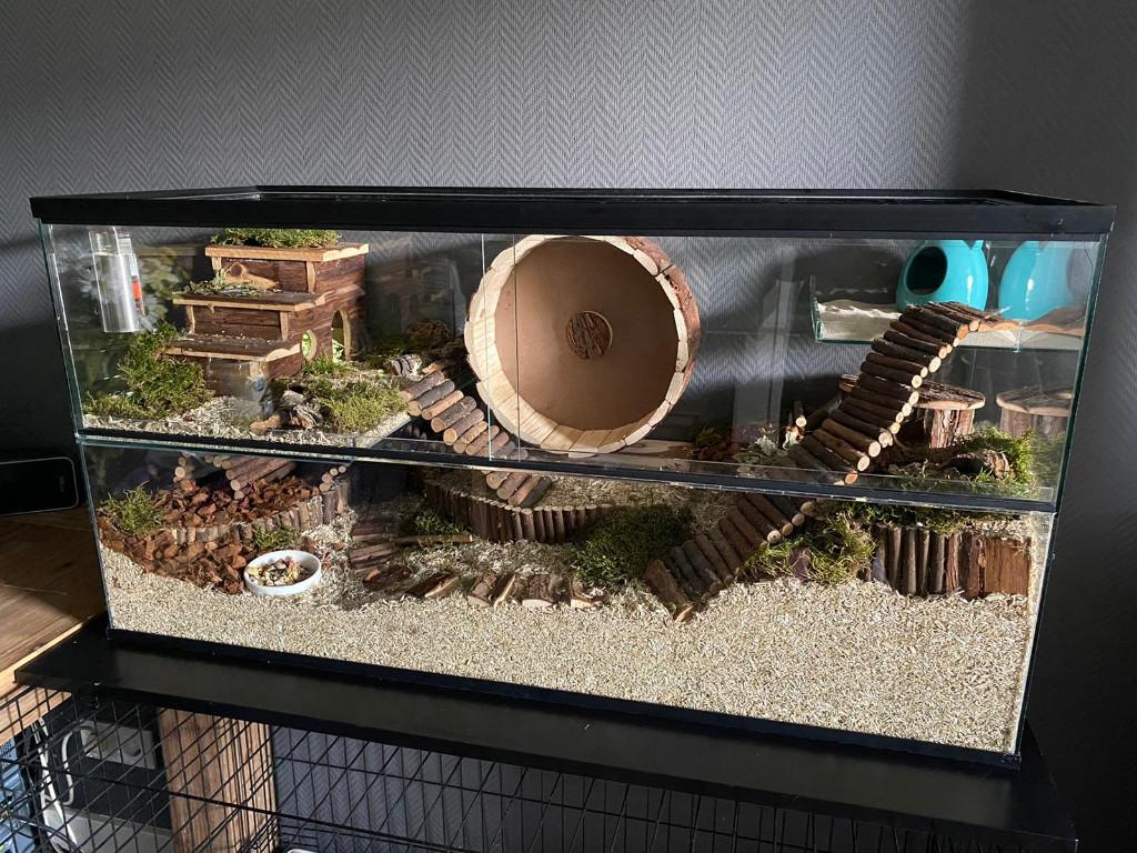 Terrarium glas voor hamster gerbil en rat kooi, Animaux & Accessoires, Neuf, Enlèvement ou Envoi, Niche, Moins de 60 cm
