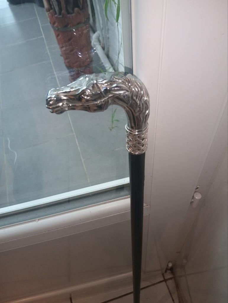 Canne ( cheval. ) 90 cm, Divers, Bâtons de marche, Enlèvement ou Envoi