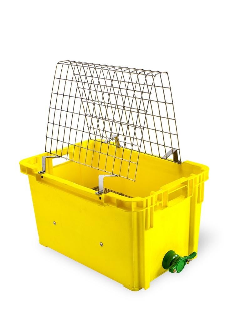 Dérouler le bac, Animaux & Accessoires, Abeilles