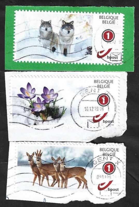 3 Postzegel België 2019 Magische Winter, Postzegels en Munten, Postzegels | Europa | België, Gestempeld, Frankeerzegel, Kerst