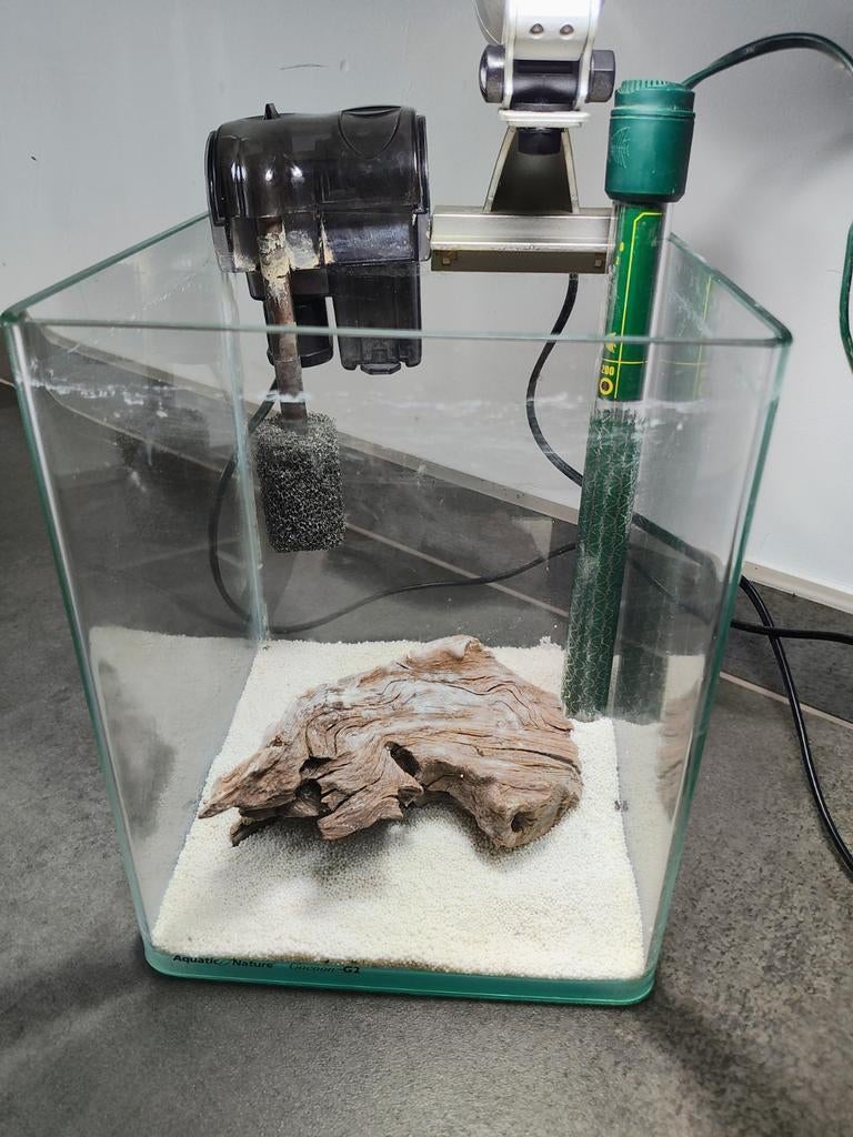 Aquarium, Animaux & Accessoires, Enlèvement