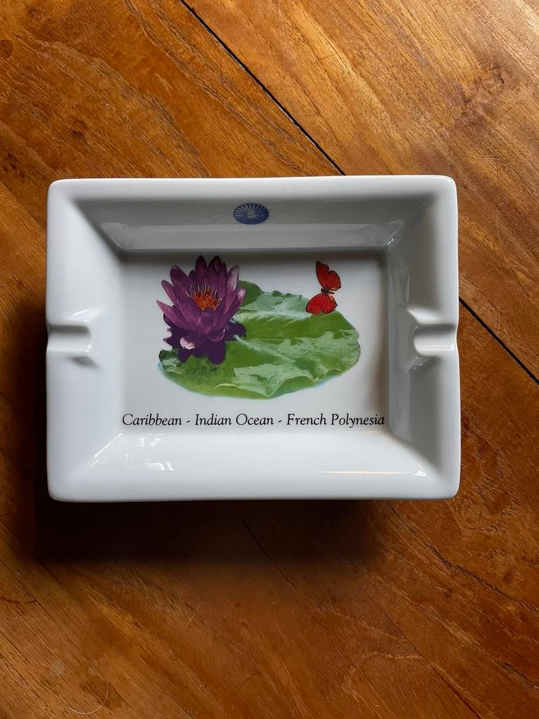 Plat décoratif, vide-poches, décoration de table Pillivuyt, Enlèvement ou Envoi, Neuf