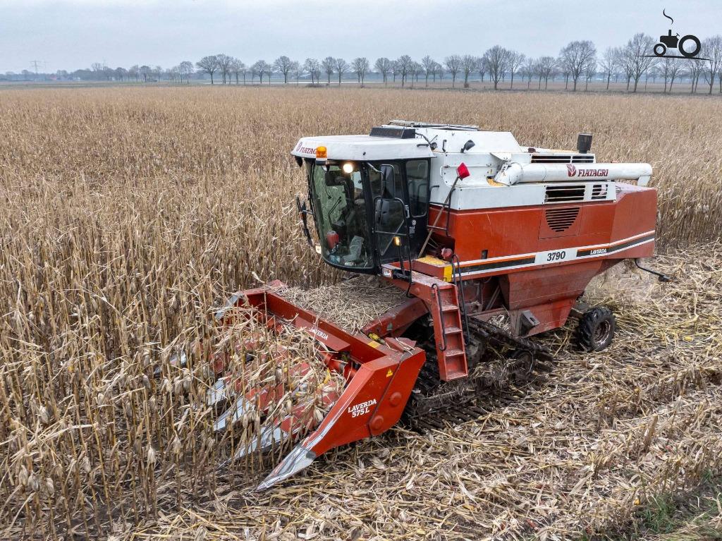 Kolvenplukker 4 of 6 rij gezocht, Zakelijke goederen, Landbouw | Aardappelen, Groenten, Fruit en Vlees, Ophalen
