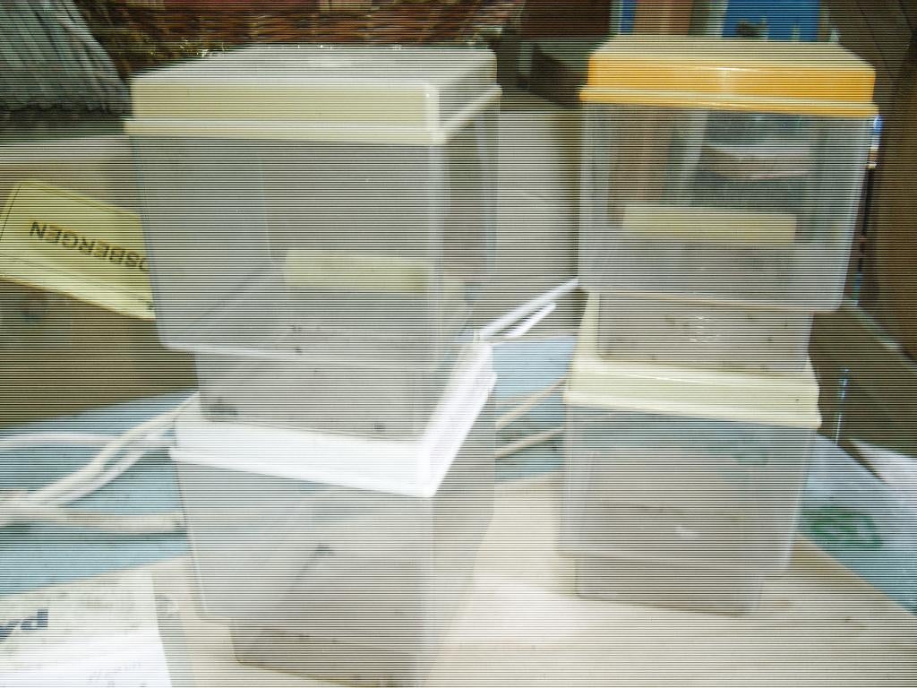 vogelbadje, Ophalen of Verzenden, Gebruikt