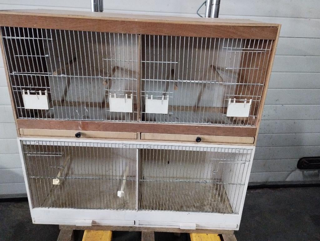 cage élevage canaris, Enlèvement, Utilisé, Métal, Cage d'élevage