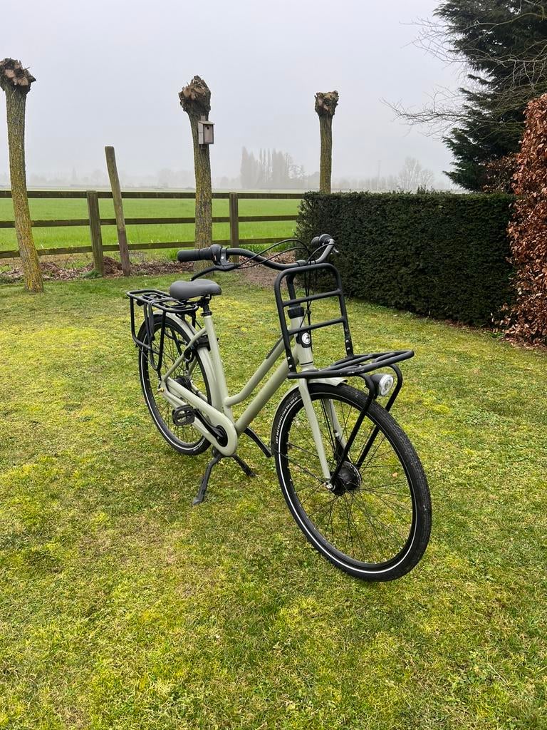 Vélo robuste Gazelle vert clair pour femmes, Enlèvement, Double standard, 56 cm ou plus, Gazelle