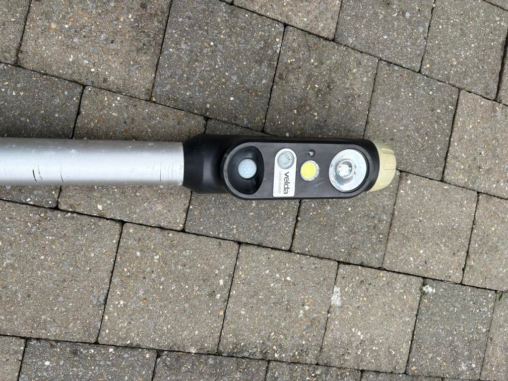 Pont guard, Dieren en Toebehoren, Vissen | Vijvervissen