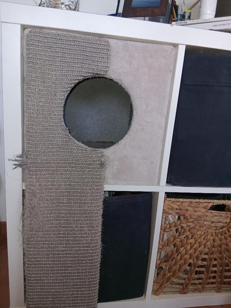 Boîte chat + griffoir, Enlèvement, Utilisé, Griffoir