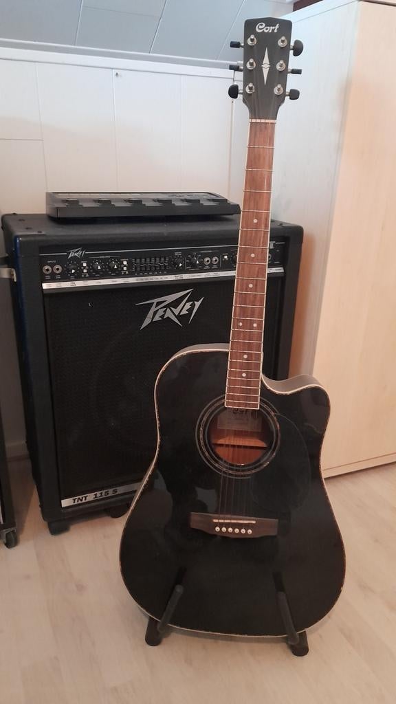 GITAAR semi acoustic, Muziek en Instrumenten, Snaarinstrumenten | Overige, Ophalen, Zo goed als nieuw, Overige typen