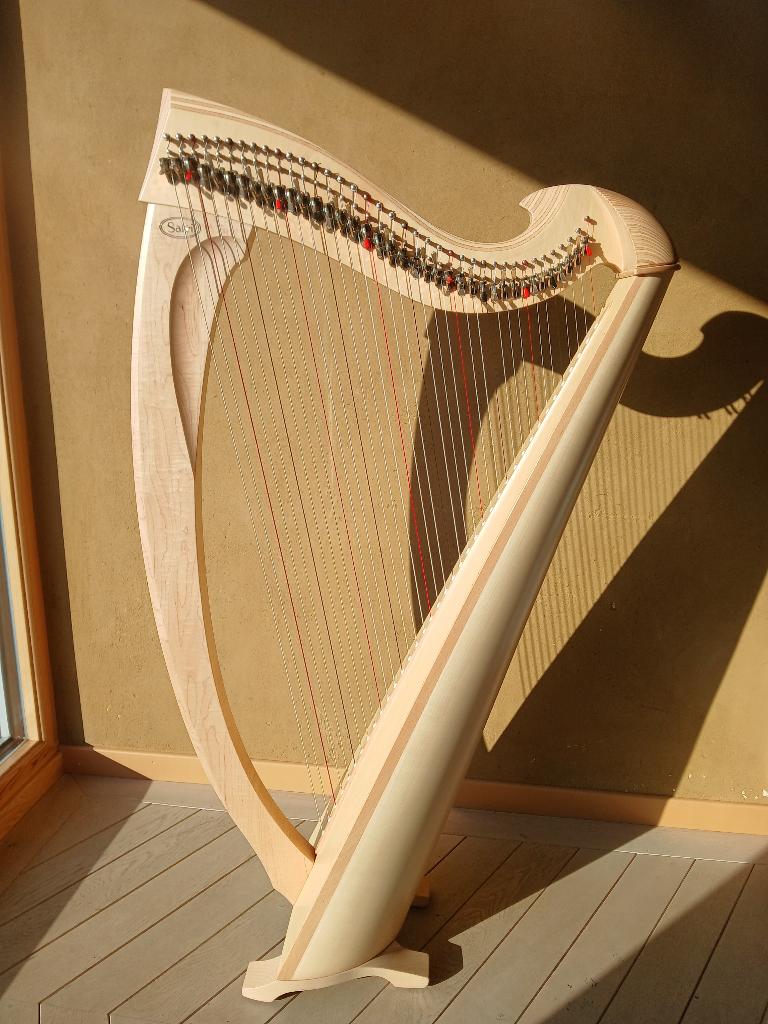 Harpe Salvi Una érable, Musique & Instruments, Instruments à corde | Harpes, Comme neuf, Enlèvement
