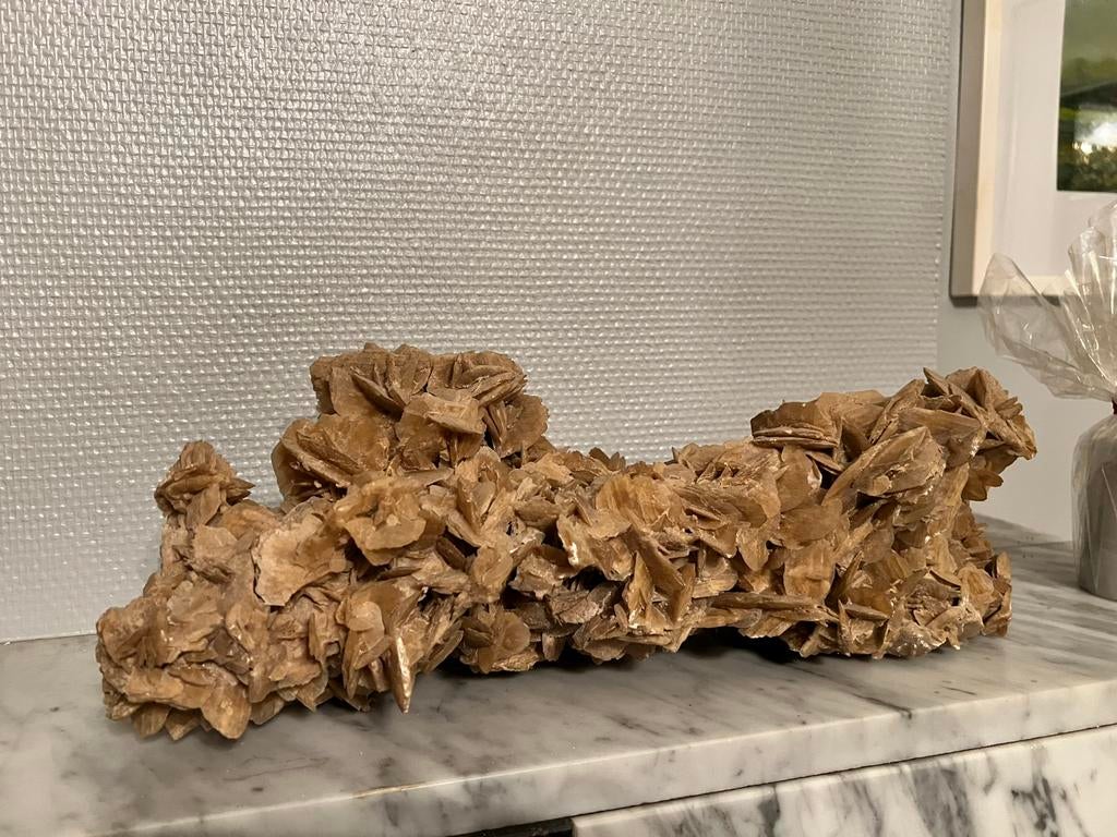 Natuurlijke koralen, Huis en Inrichting, Woonaccessoires | Kransen, Ophalen of Verzenden, Zo goed als nieuw