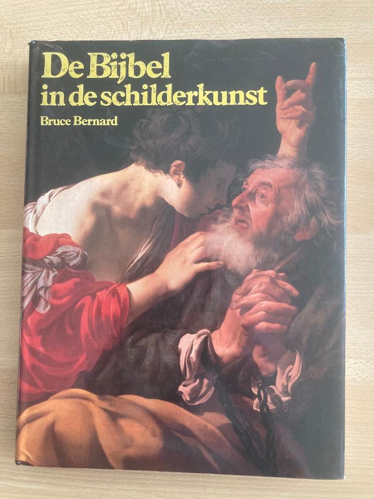 Boek De Bijbel in de schilderkunst, Boeken, Kunst en Cultuur | Beeldend, Ophalen of Verzenden, Zo goed als nieuw, Schilder- en Tekenkunst
