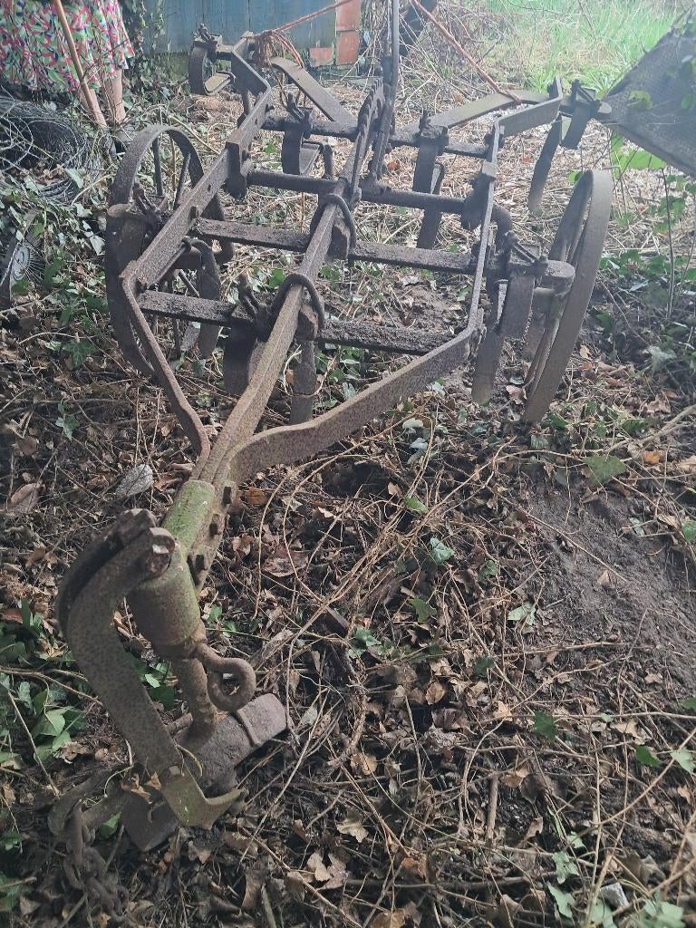 Culitivator voor trekpaard