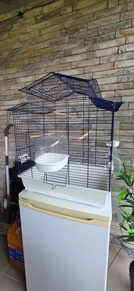 Grote vogelkooi voor parkieten & kanaries, Ophalen, Gebruikt, Vogelkooi