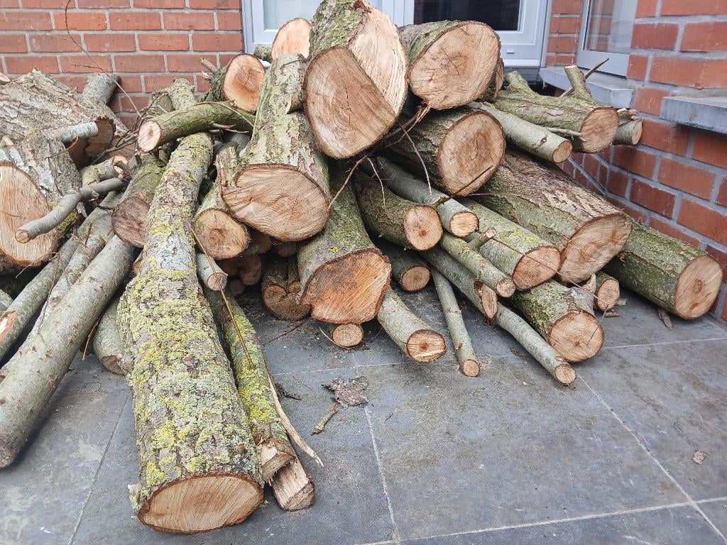 Verse wilgenhout, Tuin en Terras, Minder dan 3 m³, Ophalen, Overige houtsoorten, Stammen