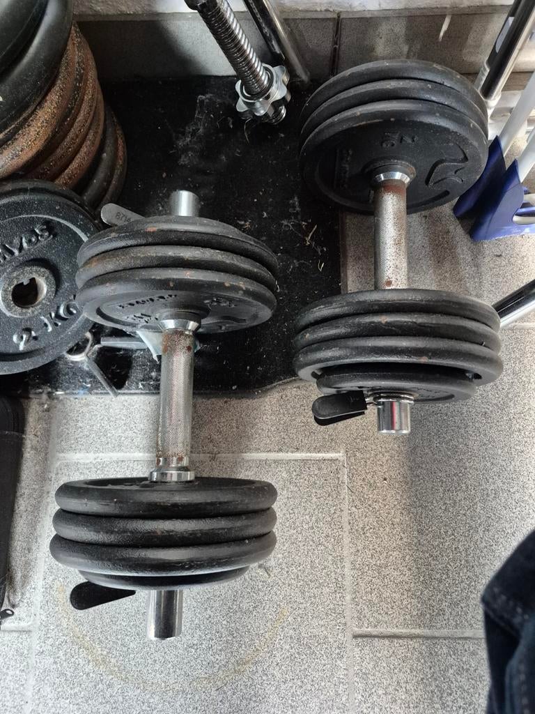 Te koop gewichten halter, Enlèvement