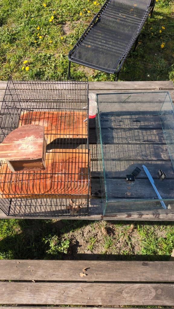 Kooi te koop, Dieren en Toebehoren, Ophalen of Verzenden, Kooi