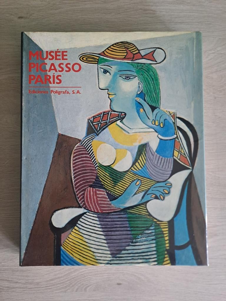 Prachtig boek Museé Picasso Paris 1985, Boeken, Kunst en Cultuur | Beeldend, Ophalen, Zo goed als nieuw, Schilder- en Tekenkunst