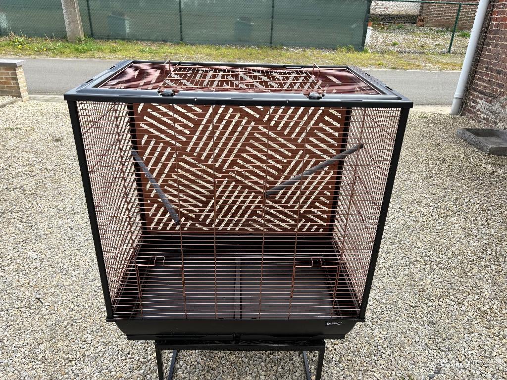 Vogelkooi met accessoires en pruimkopparkiet, Animaux & Accessoires, Oiseaux | Perruches & Perroquets, Perruche, Sexe inconnu