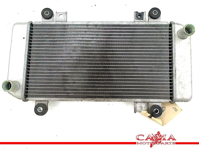 RADIATEUR Kawasaki ZX 250 R (Ninja ZX250R) (220003741), Dhr. S. di Majo, Gebruikt, Info@cama-motorparts.nl, P.J. Troelstraweg 8 8
3144 CX  MAASSLUIS, NL