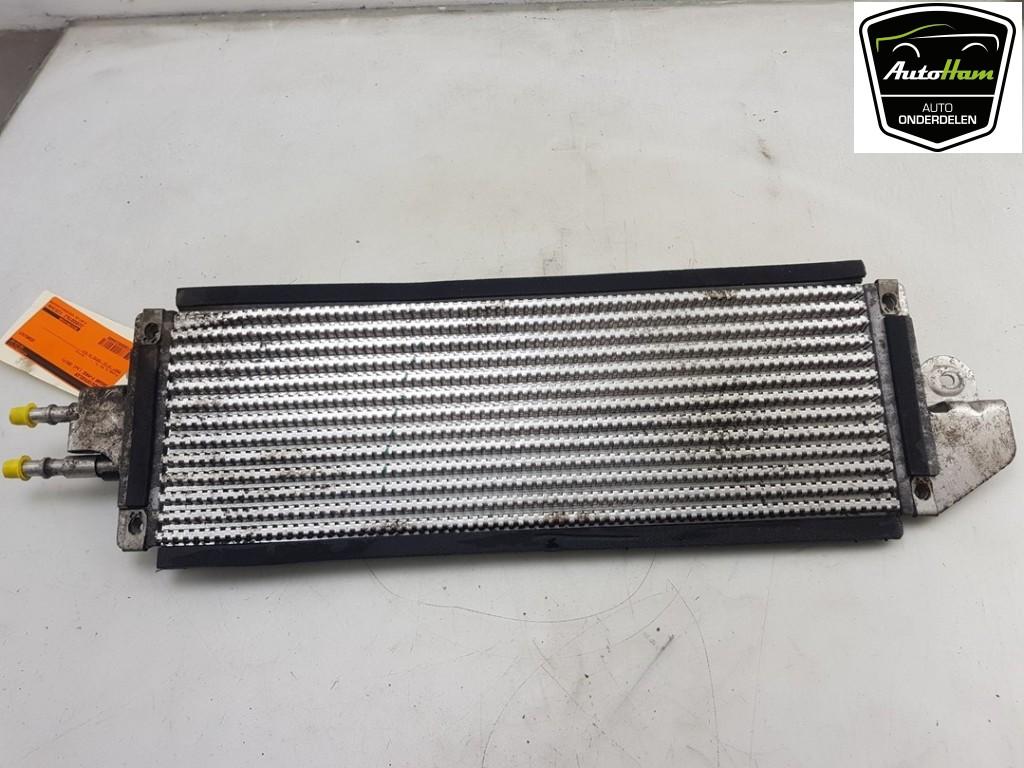 BRANDSTOFKOELER Jaguar F-Pace (01-2015/12-2025), Gebruikt, Jaguar